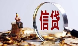 成都个人个人小额贷款-成都个人私借户不考察-成都个人民间借贷无抵押