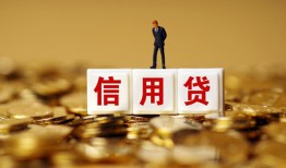 成都个人哪有个人借贷-成都个人小额贷款公司-成都个人私借空放免费上门