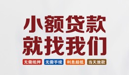 成都个人私人放贷-成都个人个人借贷不查征信-成都个人个人身份证贷款