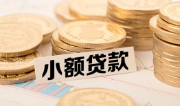 成都个人身份证贷款平台-成都个人私人借贷不查征信-成都个人空放借钱